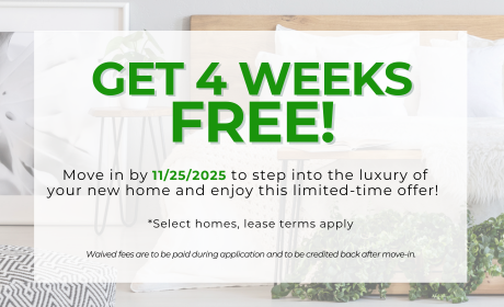 image for /shared/images/harrington-trail-popup-eo1y1lr3.png