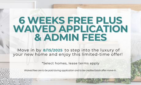 image for /shared/images/harrington-trail-popup-hzwkrbsv.png